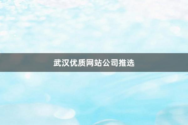 武汉优质网站公司推选